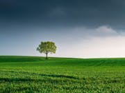 environmental compliance