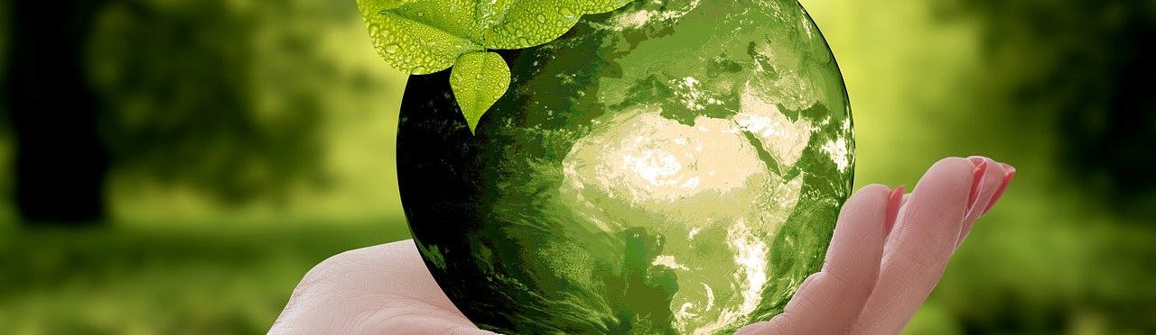 sustainability practices in food processing industry